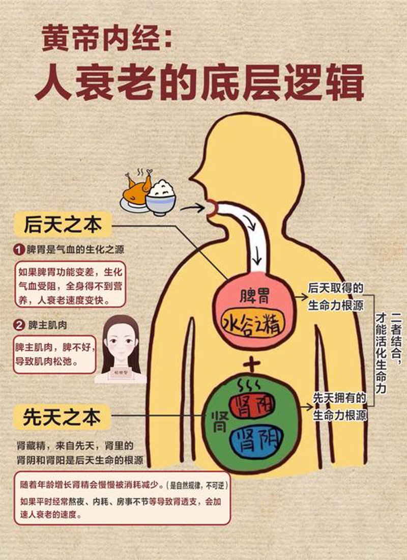 生命养护行业的创新风向标：弘泰洋的探索与实践